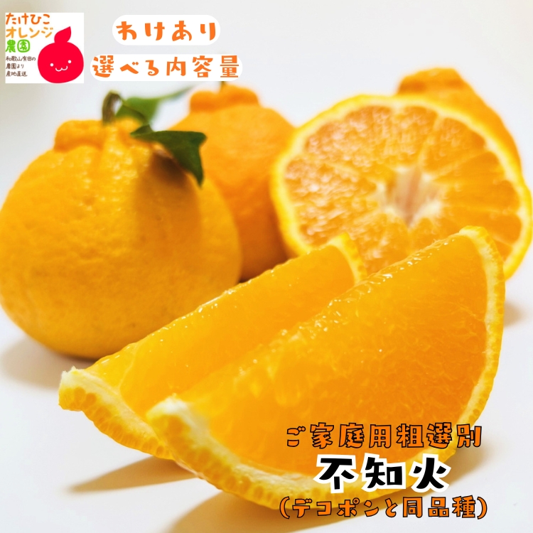 不知火　デコポンと同品種
