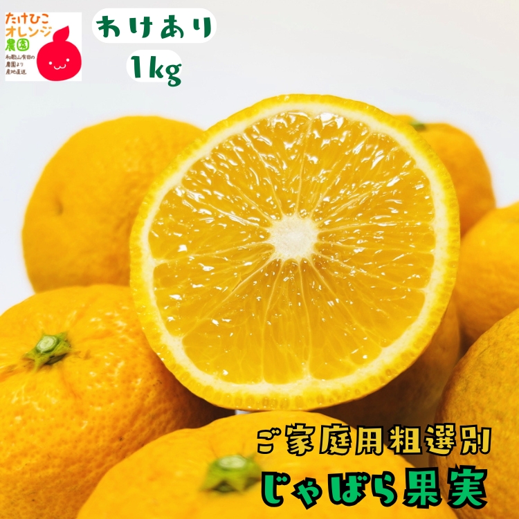 ジャバラ果実