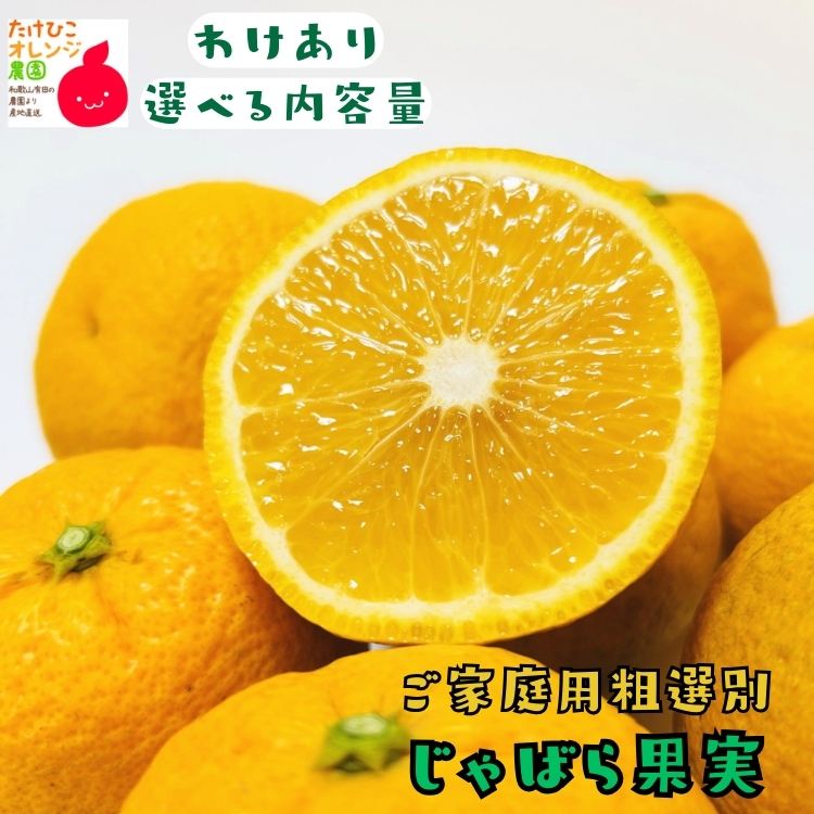 ジャバラ果実
