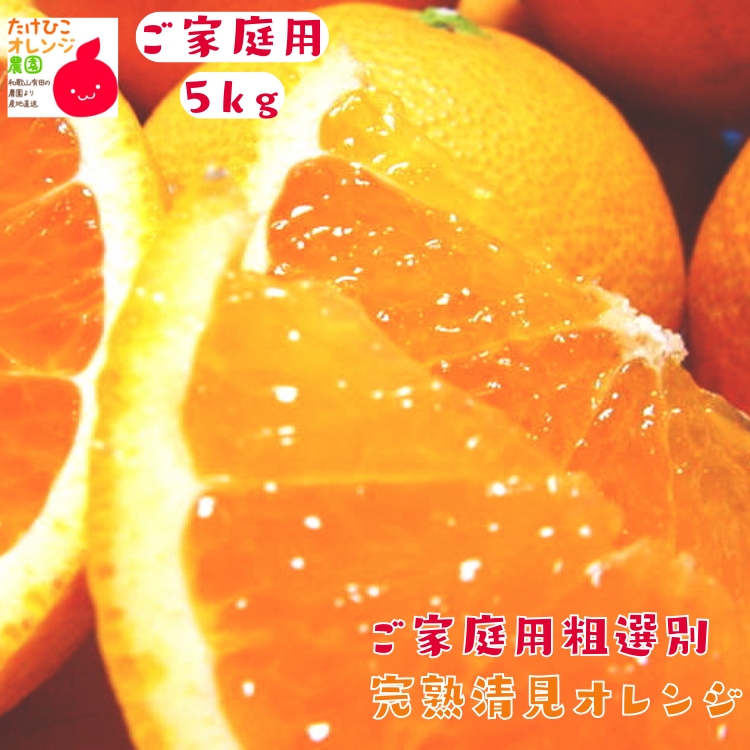 粗選別清見オレンジ