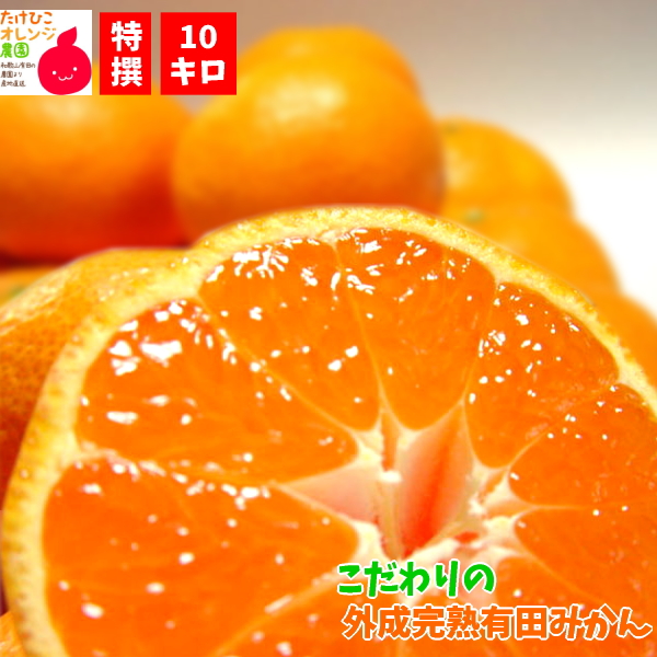 こだわりの外成完熟有田みかん