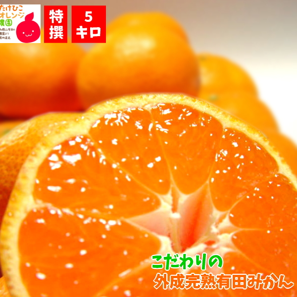 特選 外成完熟有田みかん