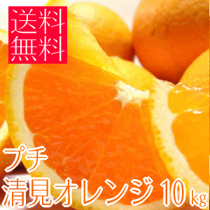 プチ清見オレンジ
