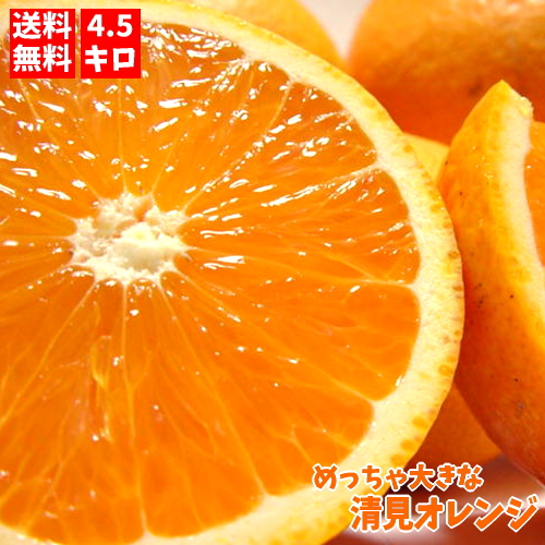 清見オレンジ