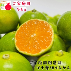 青切りみかん