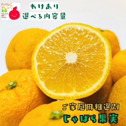 ジャバラ果実