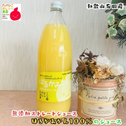はるか100％無添加ストレートジュース
