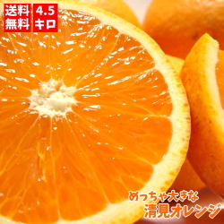 清見オレンジ