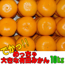 大玉有田みかん