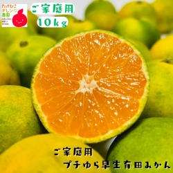 プチゆら早生みかん