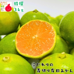 特撰　青切り有田みかん