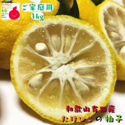 柚子