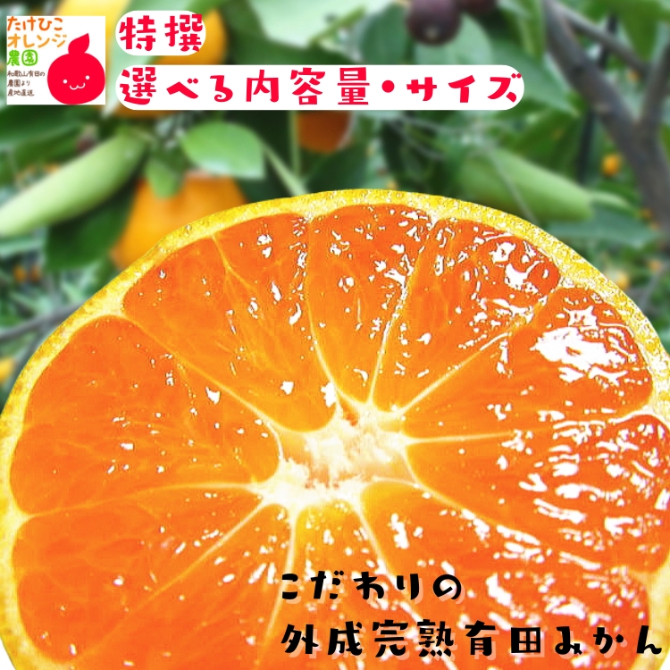 外成完熟有田みかん