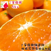 有田みかん 5kg