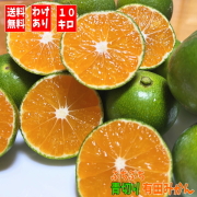 小玉青切り有田みかん