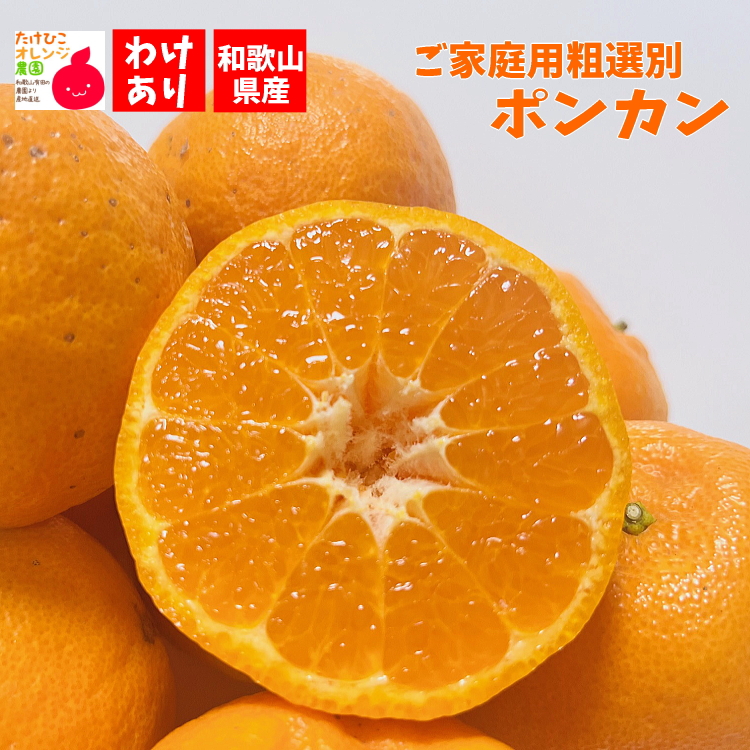 ご家庭用粗選別ポンカン