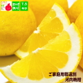 河内晩柑