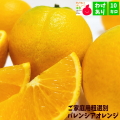 わけありバレンシアオレンジ