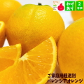 わけありバレンシアオレンジ