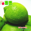 わけありグリーンレモン