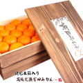 高級完熟有田みかん極