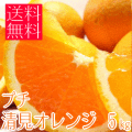 プチ清見オレンジ
