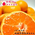 こだわりの完熟有田みかん