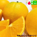 特撰 バレンシアオレンジ