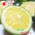 未熟果摘果みかん