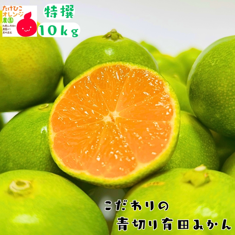 特撰　青切り有田みかん