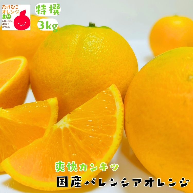 国産バレンシアオレンジ