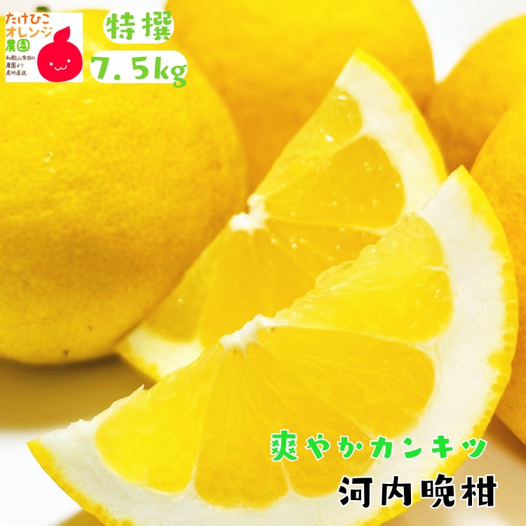 河内晩柑