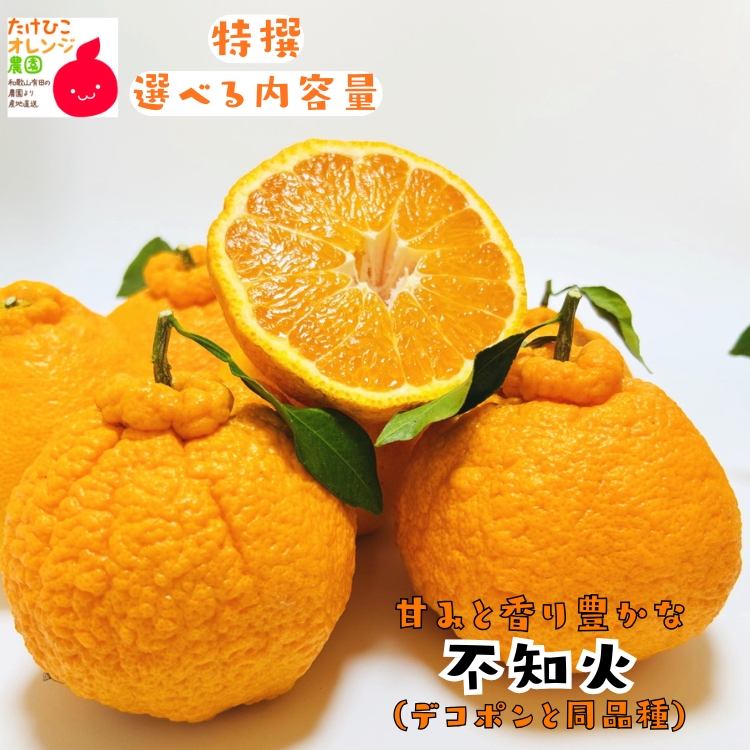 特撰不知火　デコポンと同品種