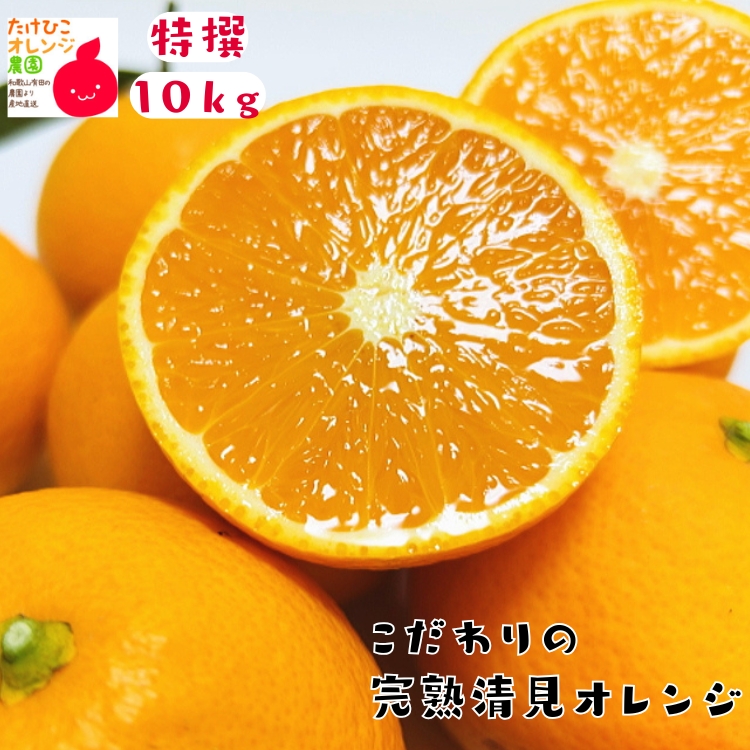 清見オレンジ産地直送販売所 ジューシーな甘みたっぷり清見オレンジ