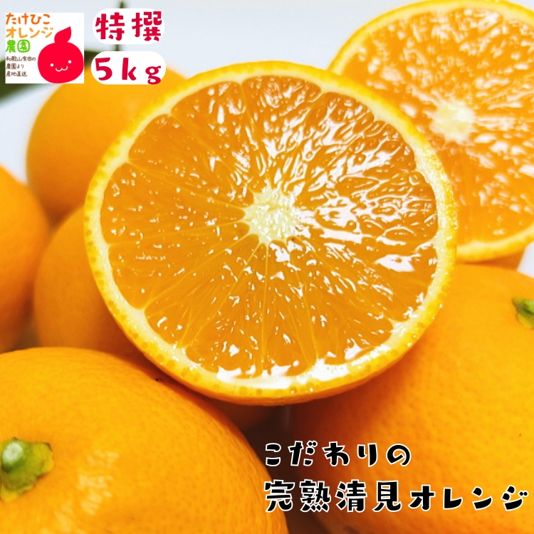 特撰 清見オレンジ