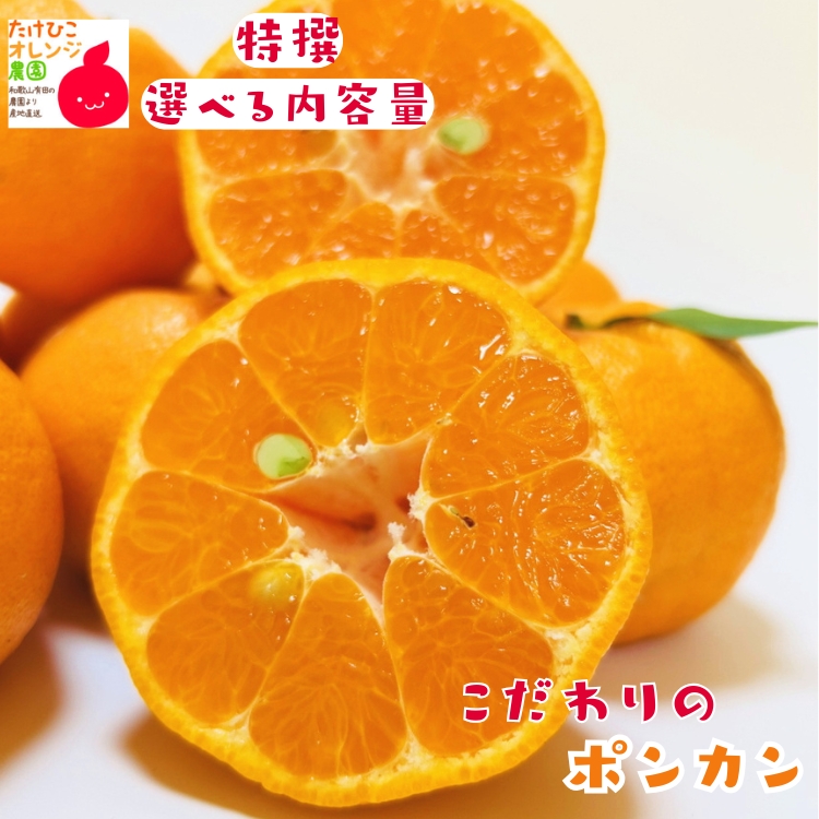 ポンカン