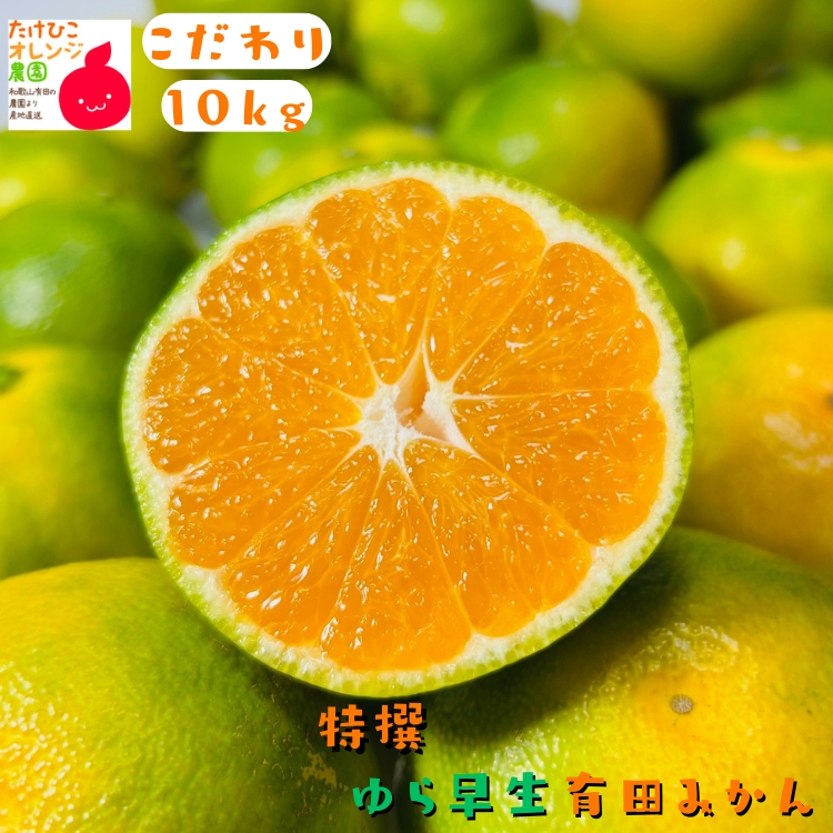 ゆら早生有田みかん