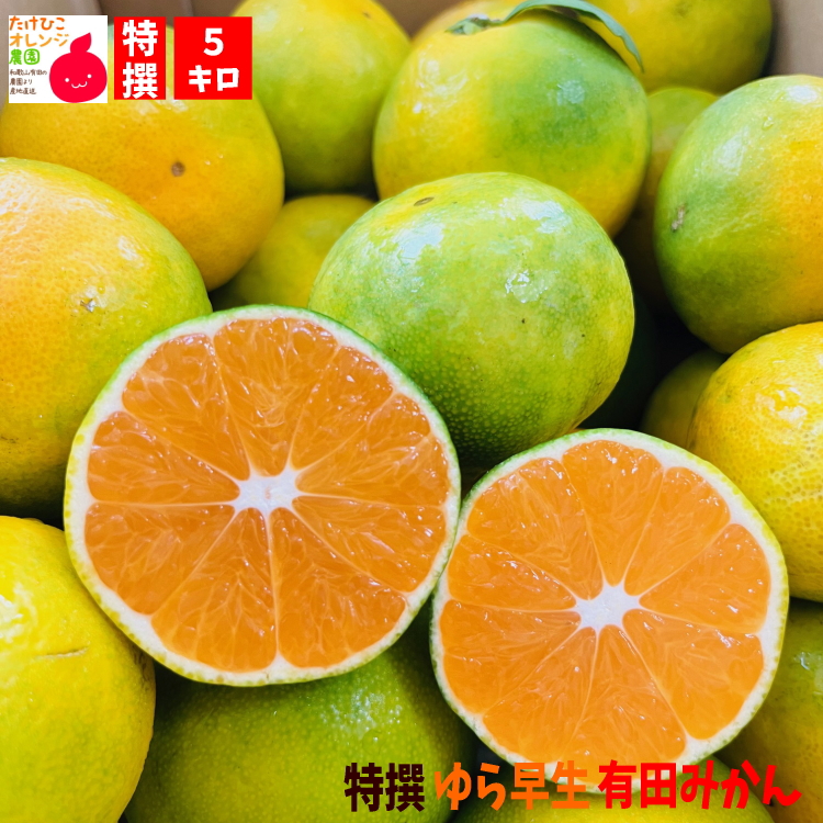 ゆら早生有田みかん