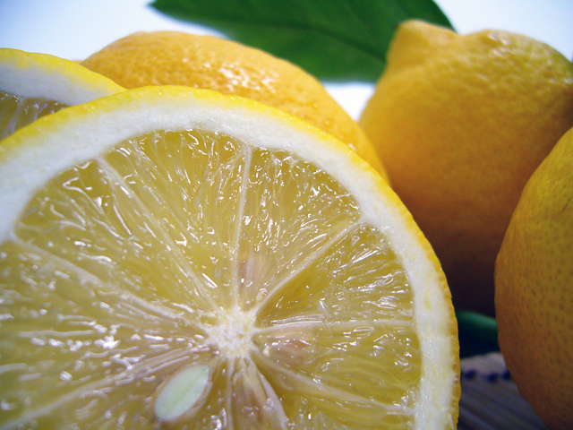 10kg入り 収穫直送、農薬控えめ新鮮レモン大小混合