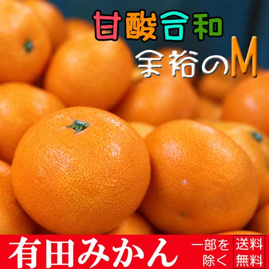 ちょっと余裕のMサイズ3kg 高級感あふれる至福の味覚！