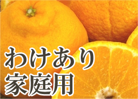 3kg入り 2月下旬発送、木になるスィーツ、熟デコ、わけあり大小混合