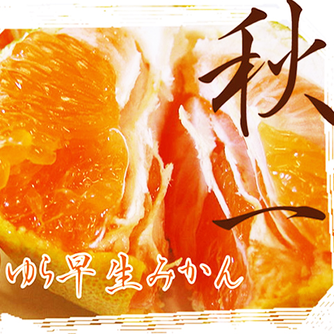 ゆら早生みかん、大小混合3kg　爽やか酸味と濃厚甘味！