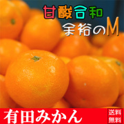 ちょっと余裕のMサイズ5kg 高級感あふれる至福の味覚！
