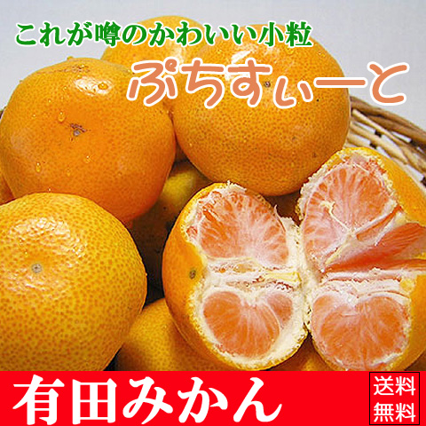 かわいい小粒ぷちすぃーと5kg ご指定日不可商品、お待ちいただける方限定！