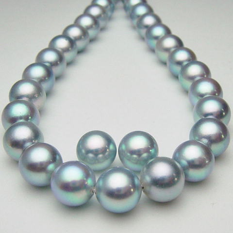 アコヤ真珠ネックレス＆ピアス(イヤリング)２点セット(グレー系)【7mm-7.5mm】【送料無料】 swq-7008 (冠婚葬祭 あこや真珠 あこや本真珠 ネックレスセット アコヤ本真珠 黒真珠 ブラックパール ロングネックレス コバルト) [ 葬式　葬祭にもＯＫ ]