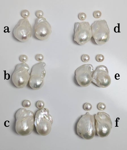 SV淡水真珠ピアス【12mm-13mm 7mm-7.5mm】ntw-7112