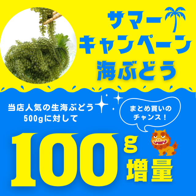 A500増量