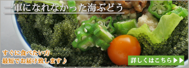 AKB top