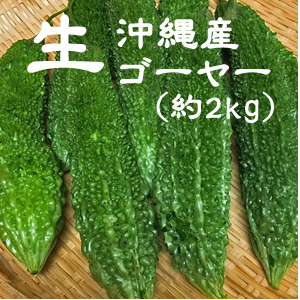 ゴーヤー2ｋｇ