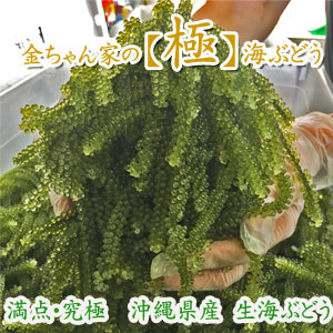 極み　商品画像